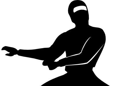 Ninja