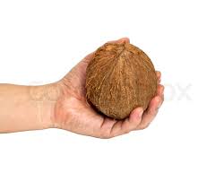 coconut hand