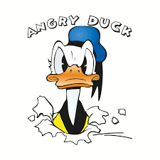 angry duck