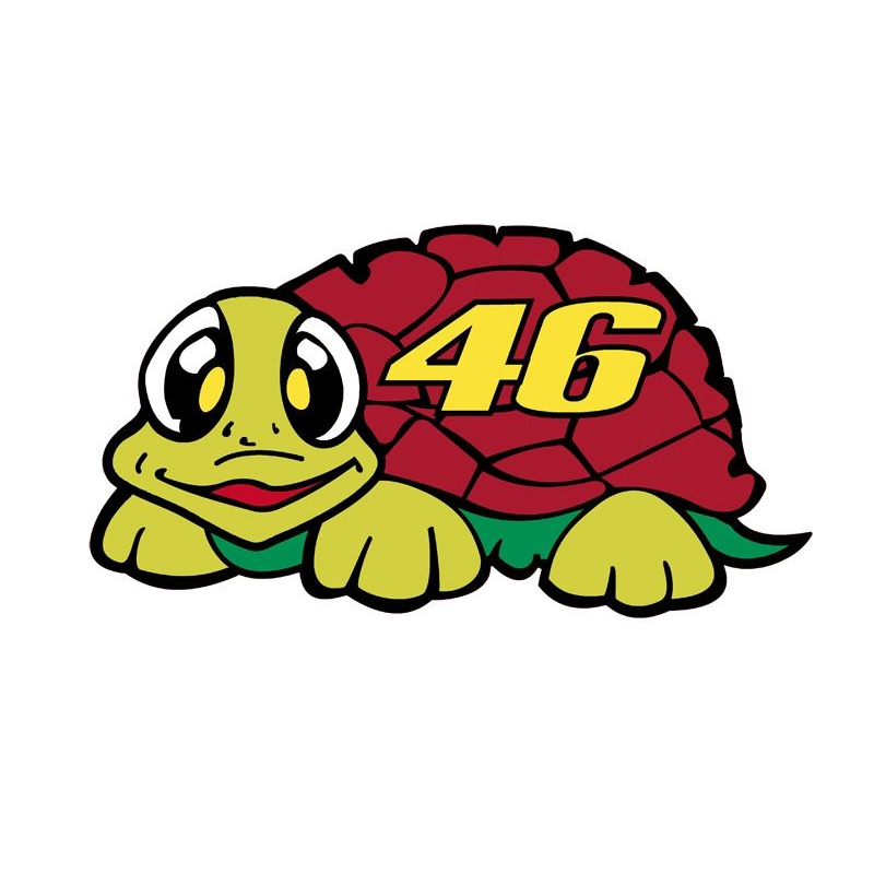 tortoises 46