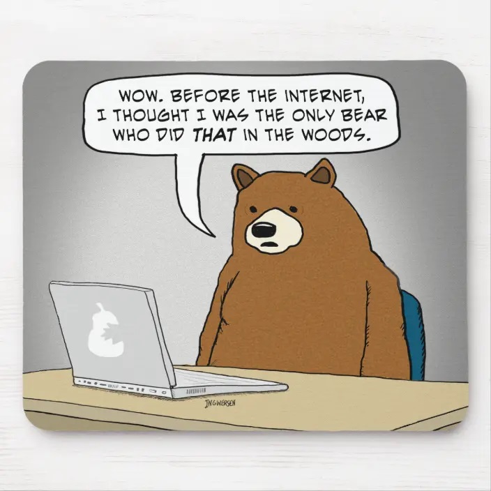 funny bear surfing the internet mouse pad